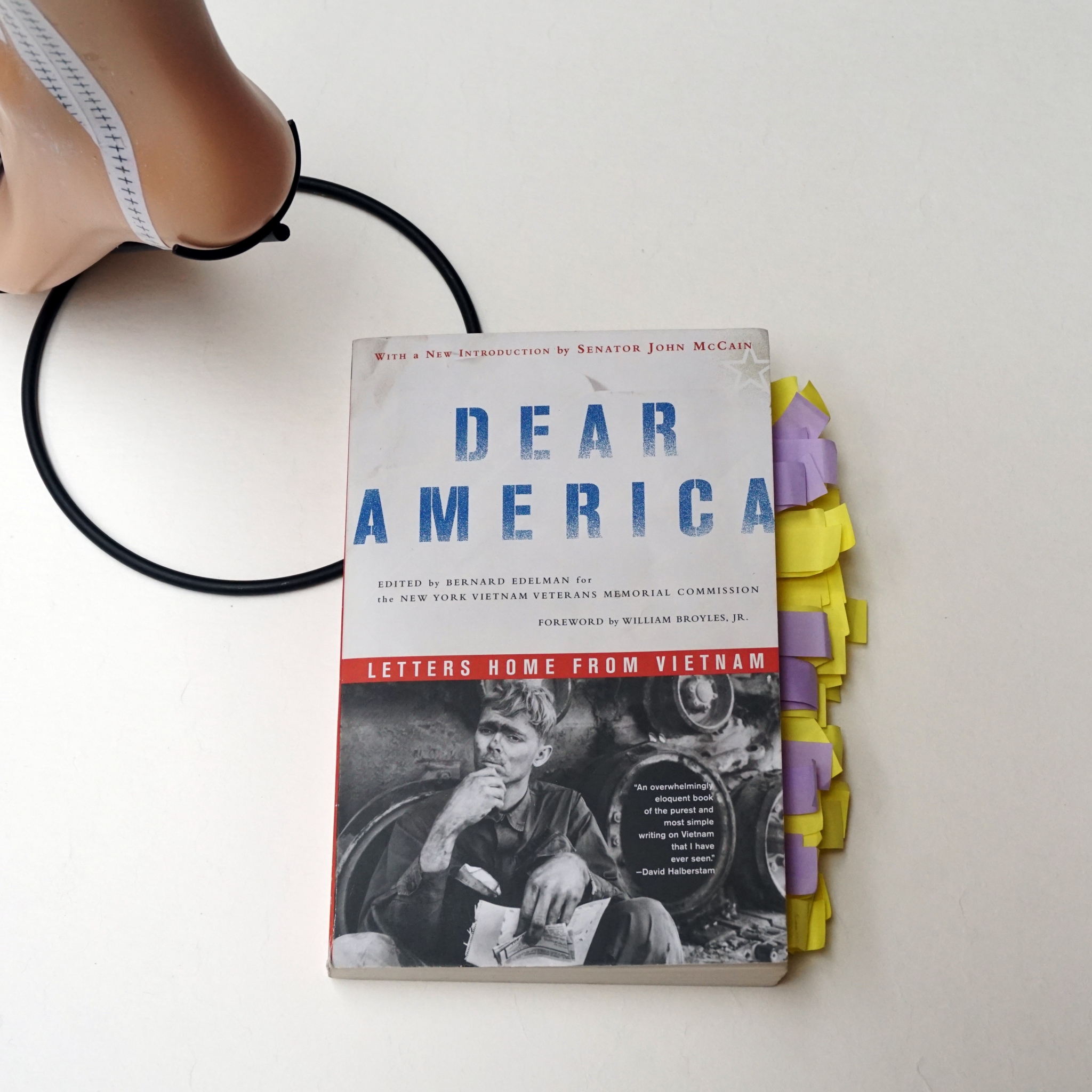 Dear America Citations Extraites Du Livre Marie Catherine Arrighi