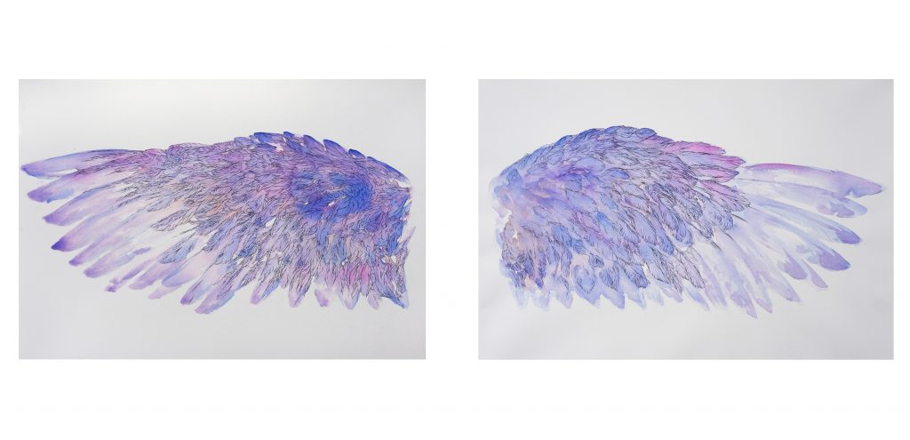 Marie Catherine Arrighi - illustrateur nature- L'oiseau Bleu de Maurice Maeterlinck pièce de théâtre- ailes aquarelle- image tout droit réservé