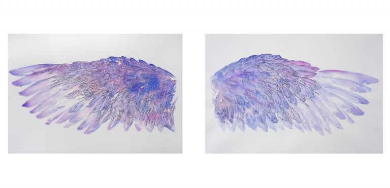 Marie Catherine Arrighi - illustrateur nature- L'oiseau Bleu de Maurice Maeterlinck pièce de théâtre- ailes aquarelle- image tout droit réservé