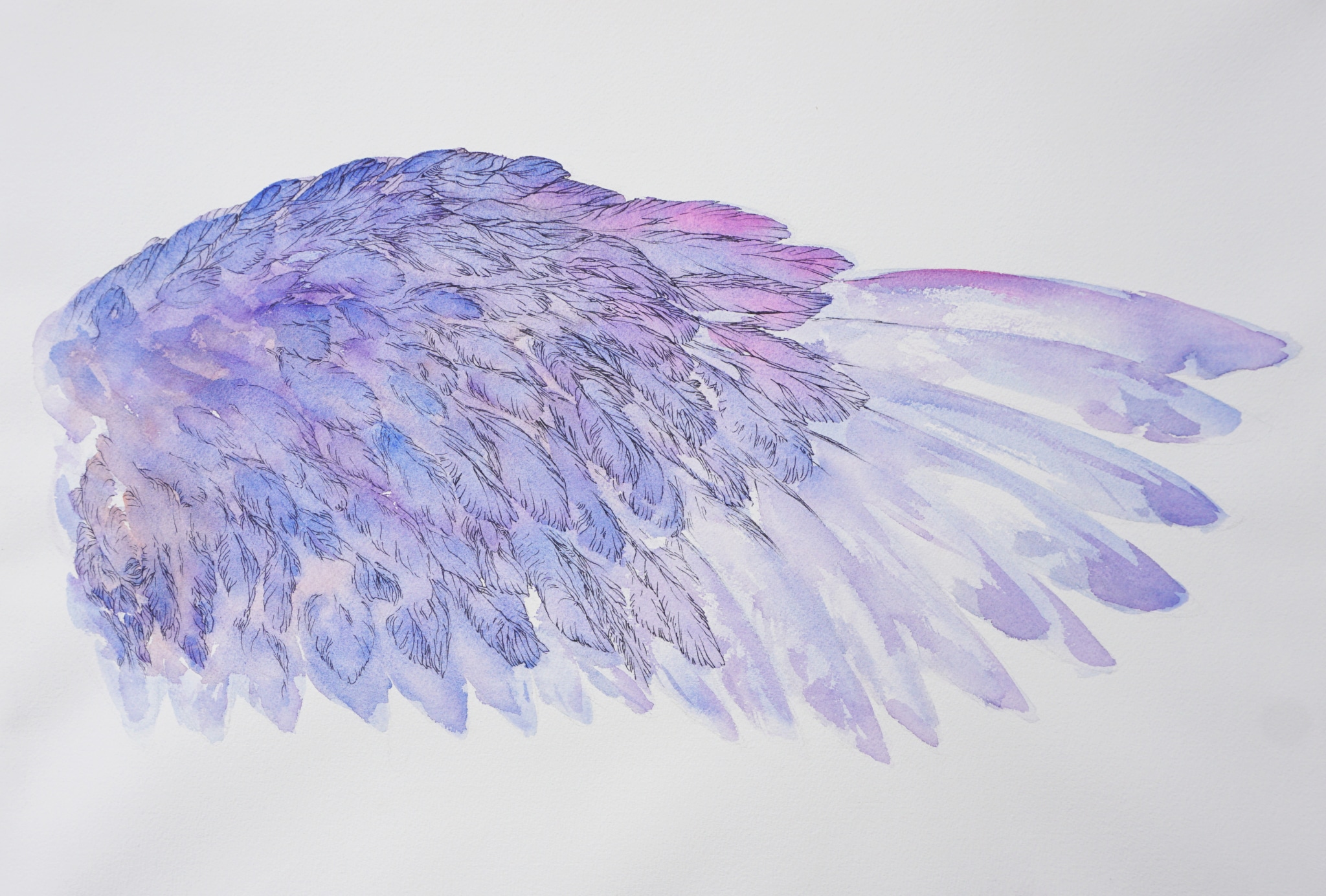 Mytyl l'aide droite de L'oiseau Bleu de Maurice Maeterlinck -ailes tableau peinture aquarelle par Marie-Catherine Arrighi- image tout droit réservé
