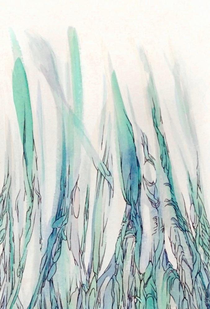 jeunes-pousses-dessin-aquarelle-illustration-plante-abstraite-par-marie-catherine-arrighi