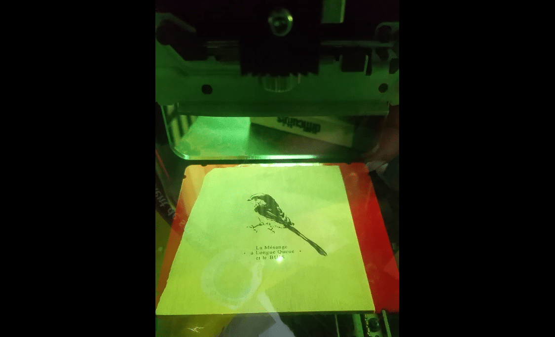 gravure numérique en cours pour la pièce La mésange à longue queue et le Buis