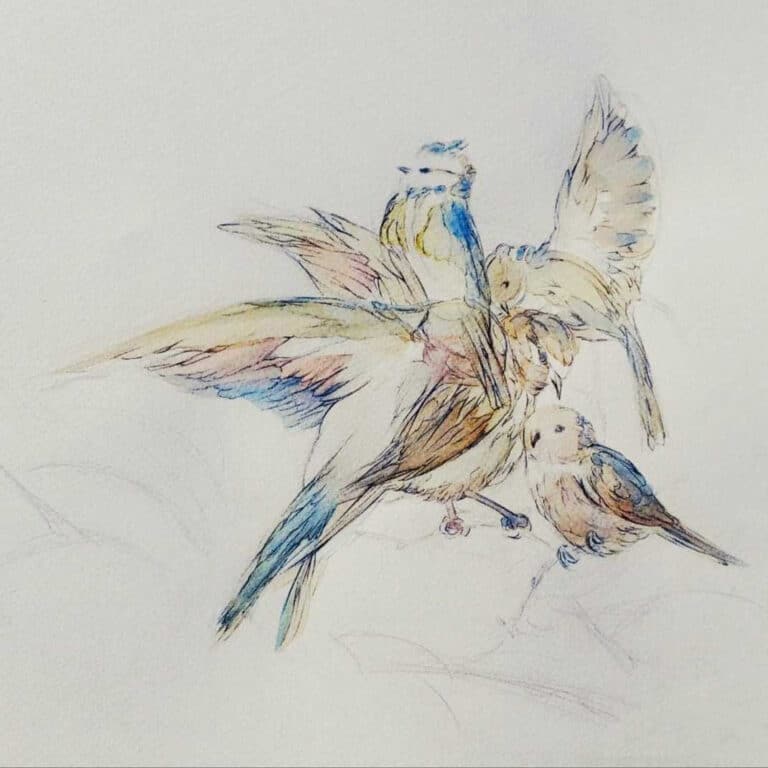 A tire-d'aile - dessin d'art contemporain Marie K Arrighi illustrateur animalier