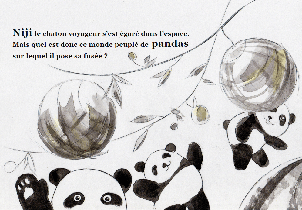 Resumé du chat du ciel- La planète panda - livre personnalisé